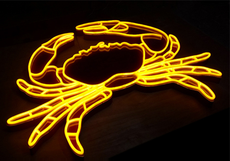 LED imitation neon light