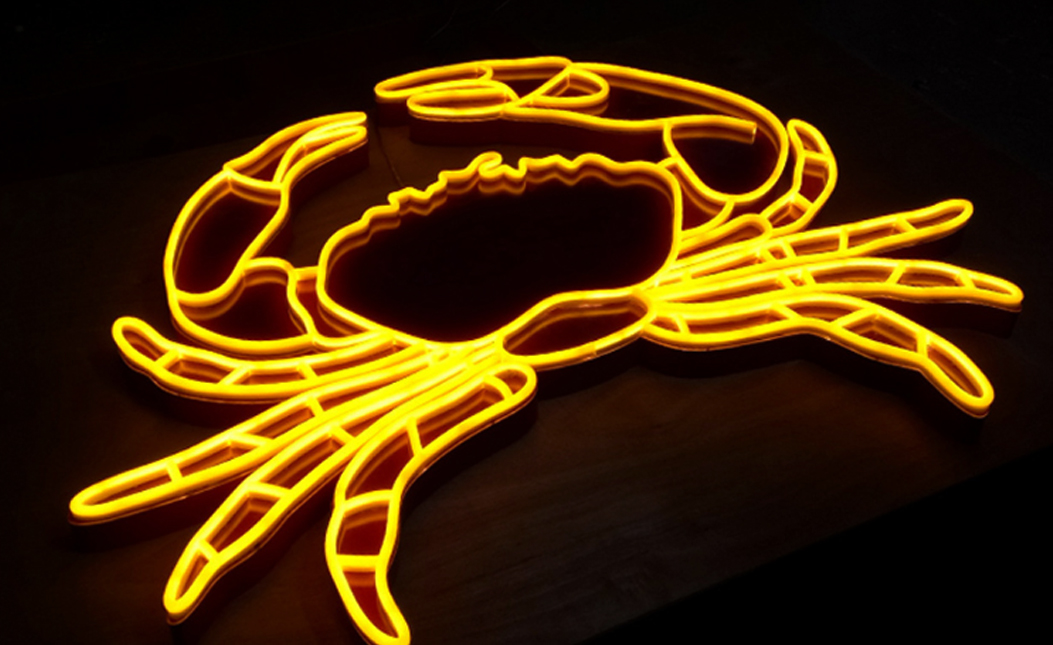 LED imitation neon light